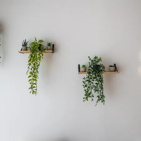 Apartamento Le Bambou: Grand Au Calme, Climatise, 5 Min De La Gare Bordéus