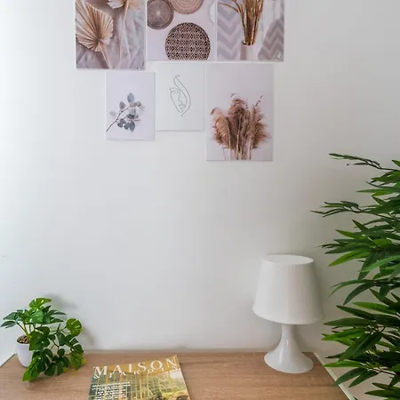 Le Bambou: Grand Au Calme, Climatise, 5 Min De La Gare Apartamento Bordéus